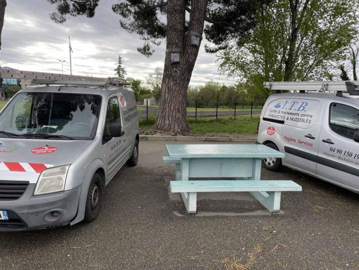 Désinsectisation Avignon
