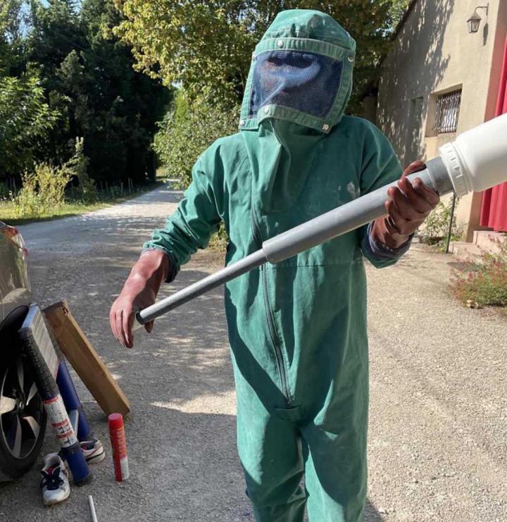 Désinsectisation Avignon