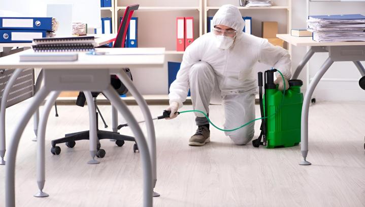 Opération de désinfection Avignon