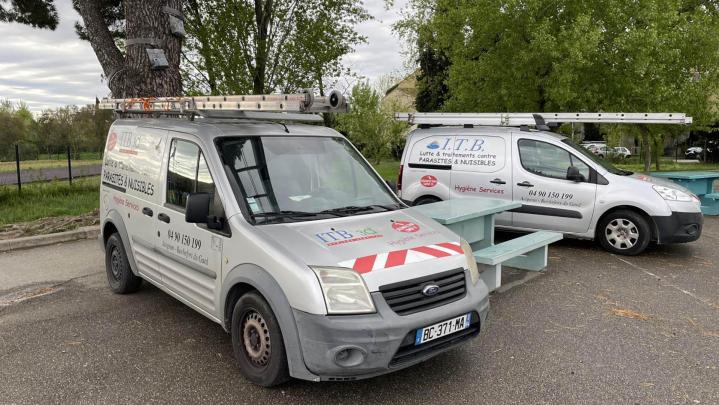 Désinsectisation Avignon